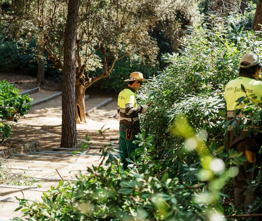 Entretien de jardin : faut-il faire appel à un jardinier professionnel ?