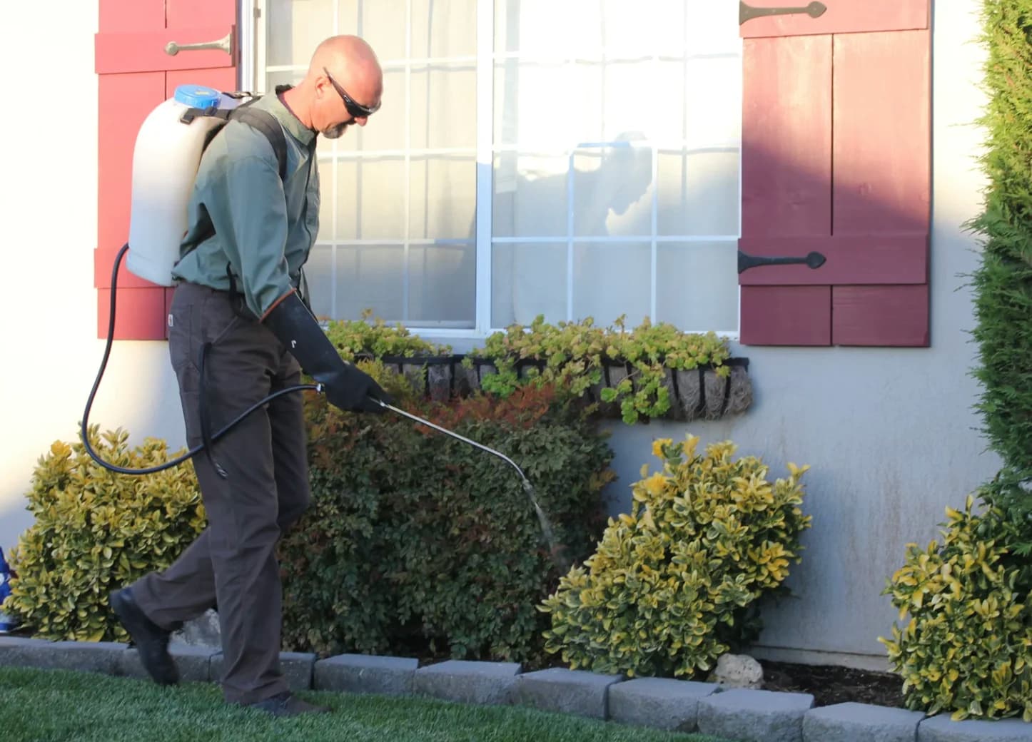 Nettoyage professionnel : façade, terrasse, toiture — quand et pourquoi ?