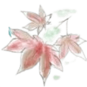 Réalisation de AQUA PAYSAGES