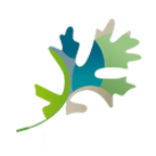 Réalisation de ATELIER LACOUR