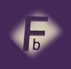 Plaquiste RGE — BERTRAND FLEURY