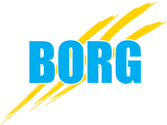 Réalisation de BORG PEINTURE