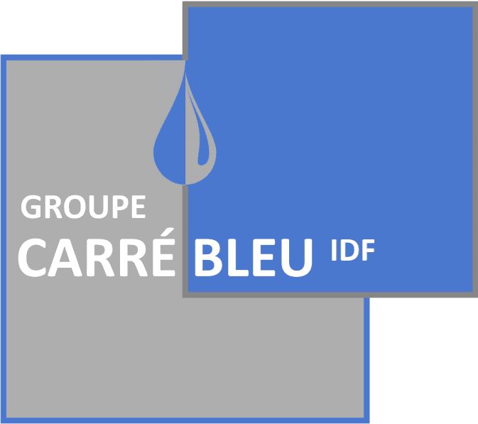 Réalisation de CARRE BLEU IDF