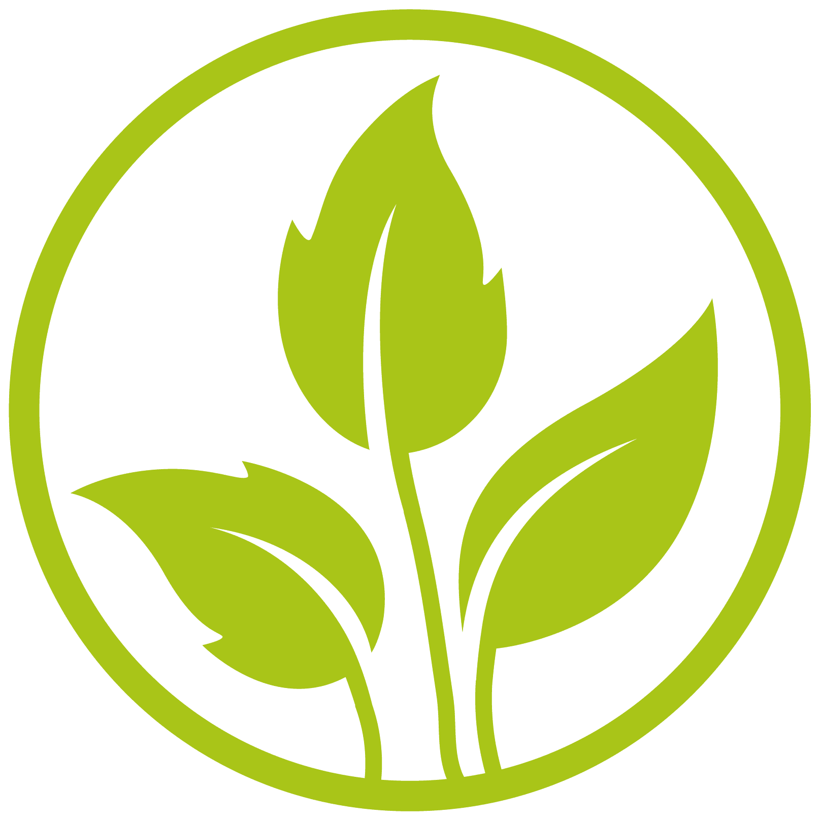 Réalisation de CHRISTOPHE CAUSERA