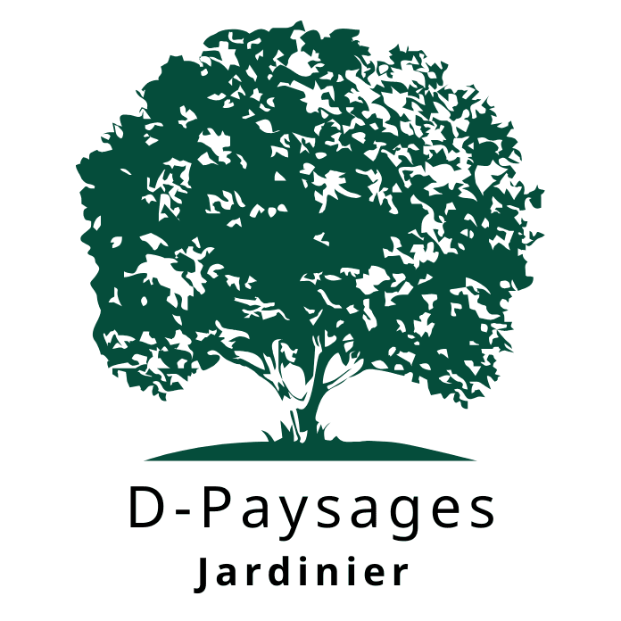 Réalisation de D-Paysages