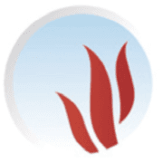 Qualibois Eau RGE — DOUAY COLLINSE