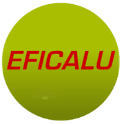 Réalisation de EFICALU