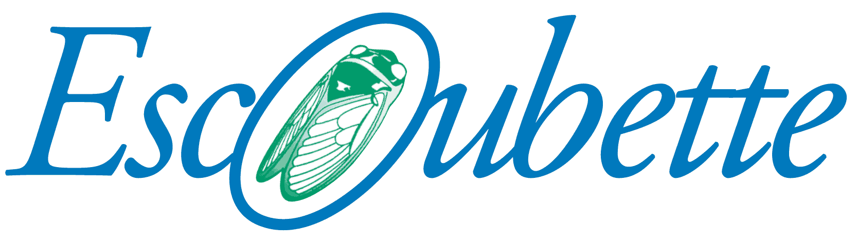 Réalisation de ESCOUBETTE