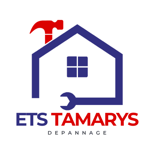 Réalisation de ETS TAMARYS