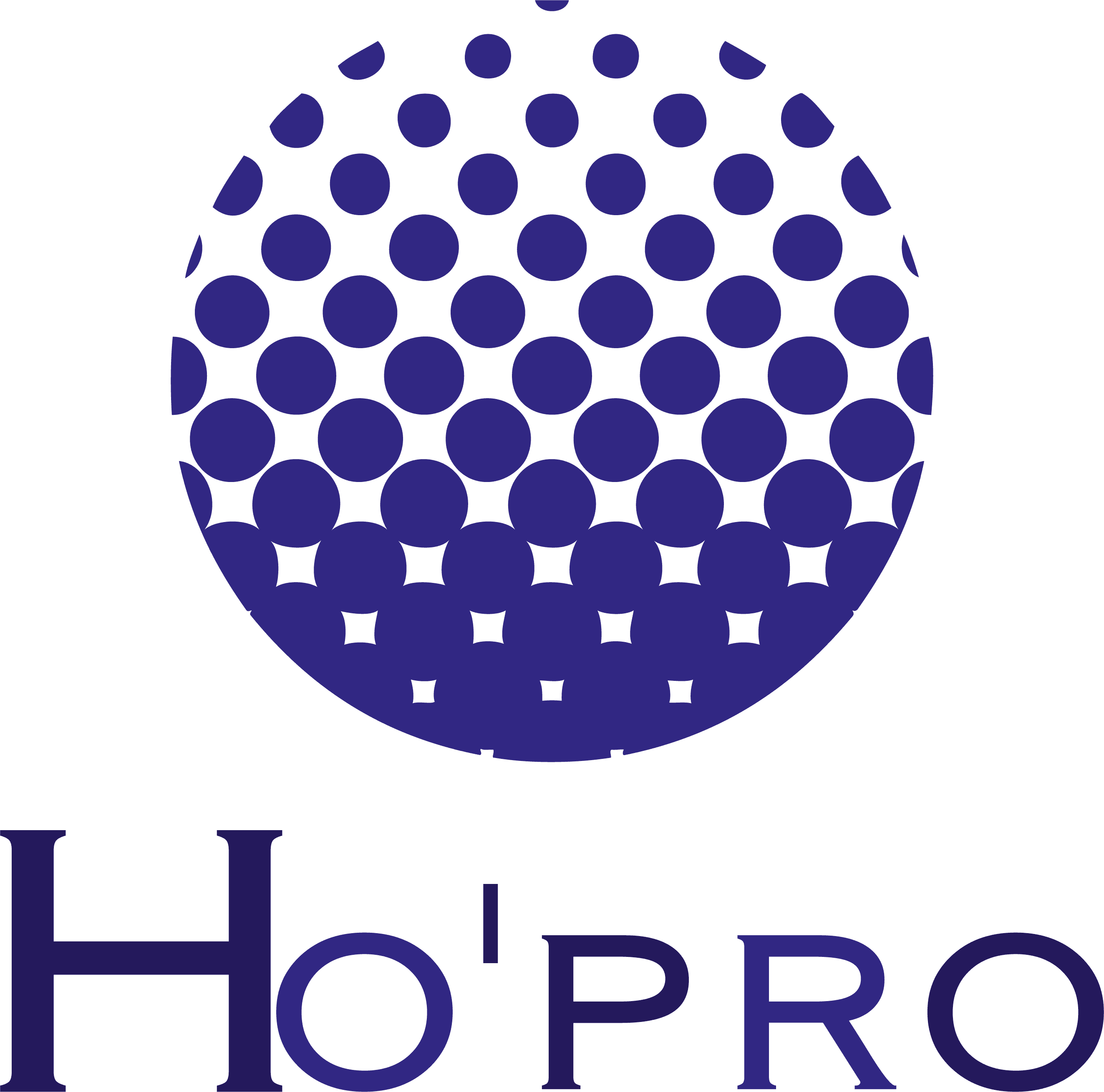 Réalisation de HO'PRO