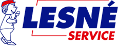 Réalisation de LESNE SERVICE