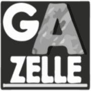 Réalisation de LUDOVIC GAZELLE