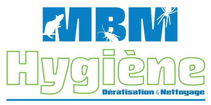 Réalisation de MBM HYGIENE