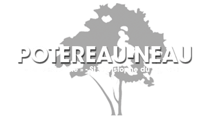 Réalisation de MCI LEBON DAVID