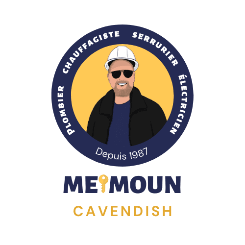 Réalisation de MEIMOUN CAVENDISH