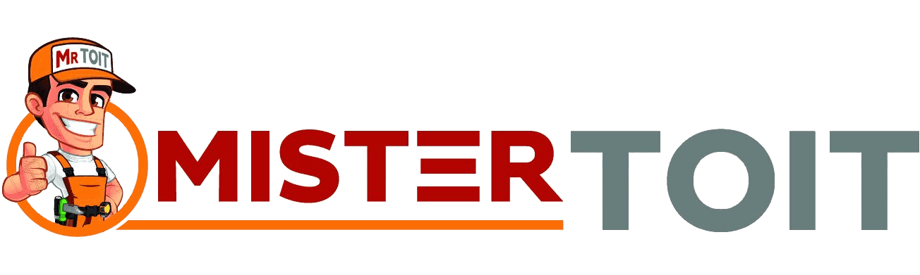 Réalisation de MISTER TOIT