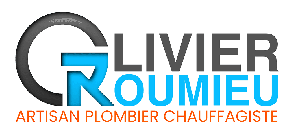 Réalisation de OLIVIER ROUMIEU