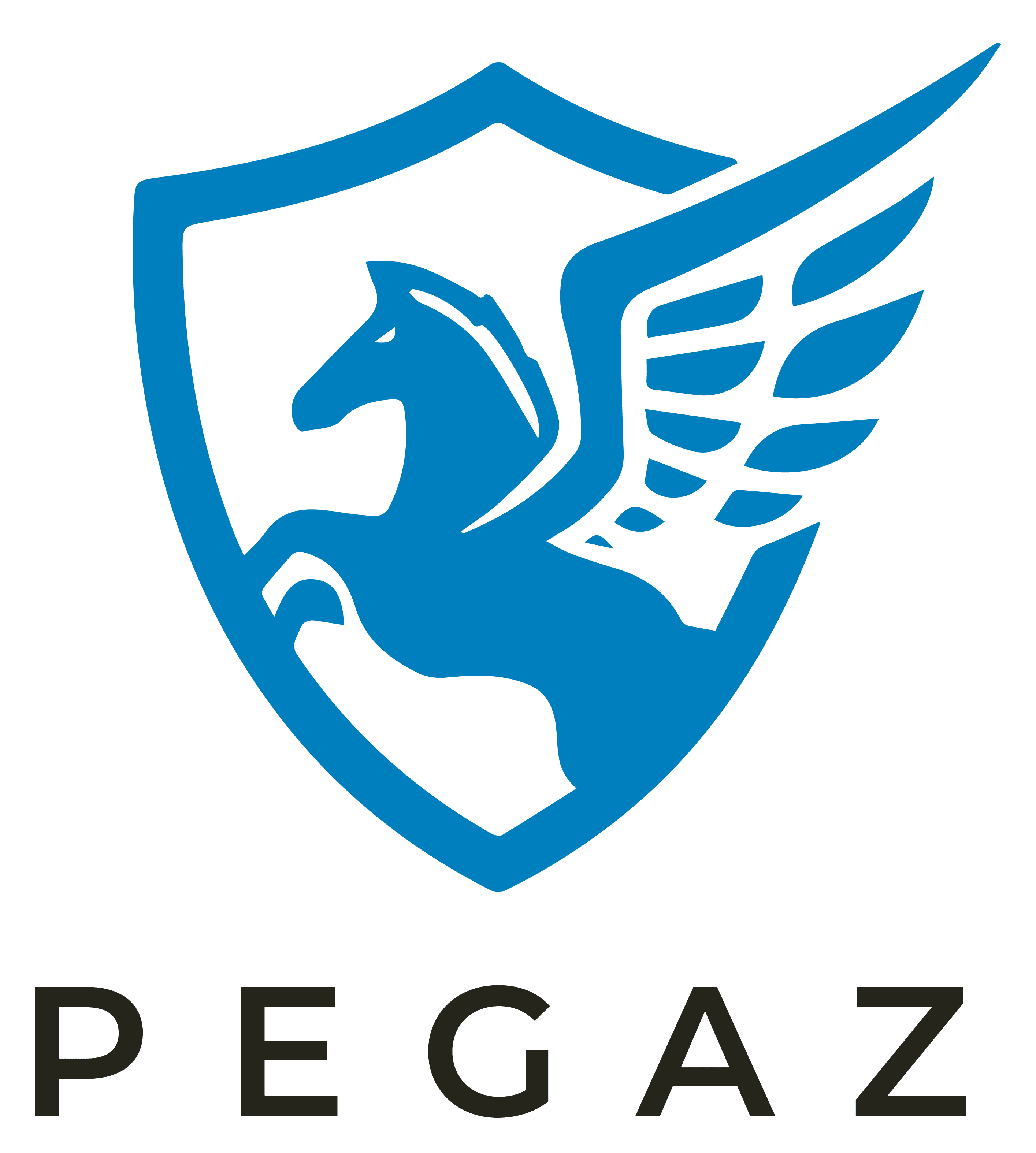 QualiPAC RGE — PEGAZ