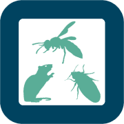 Réalisation de ProNet'Hygiène