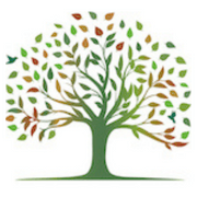 Réalisation de TILIA JARDINS