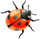 Réalisation de TRAPIB