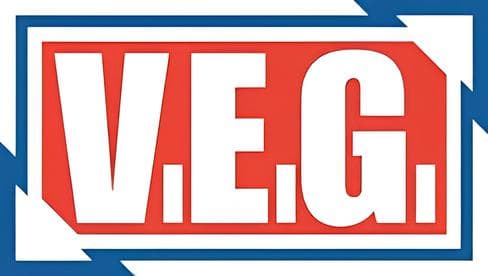 Peintre RGE — VEG