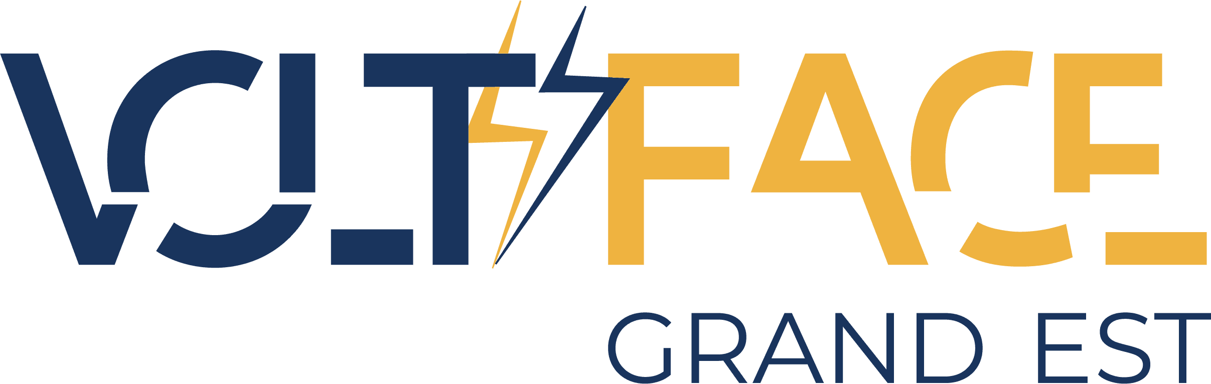 Réalisation de VOLTFACE GRAND EST