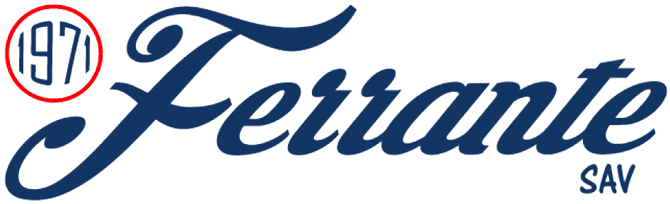 Réalisation de ENTREPRISE FERRANTE SAV