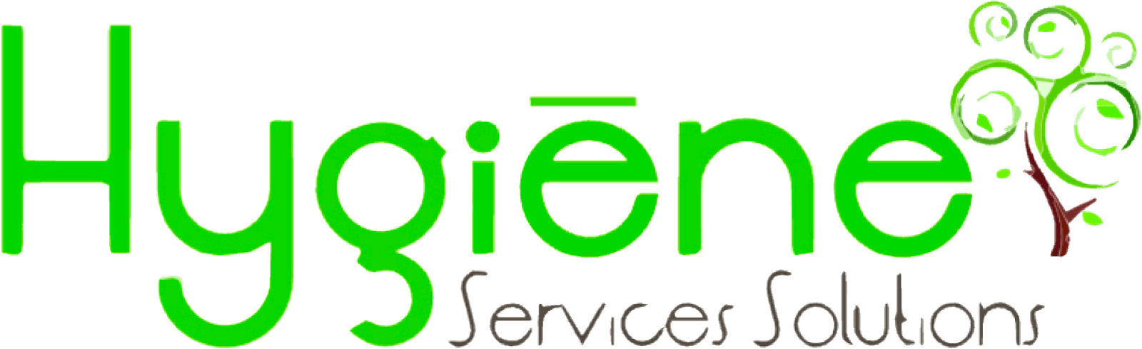 Réalisation de Hygiène Services Solutions