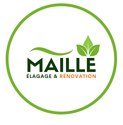 Réalisation de MAILLE ELAGAGE ET RENOVATION