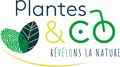 Réalisation de PLANTES & CO