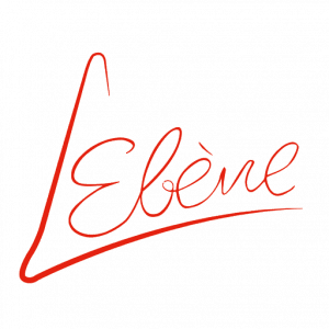 Réalisation de SOCIETE NOUVELLE L'EBENE